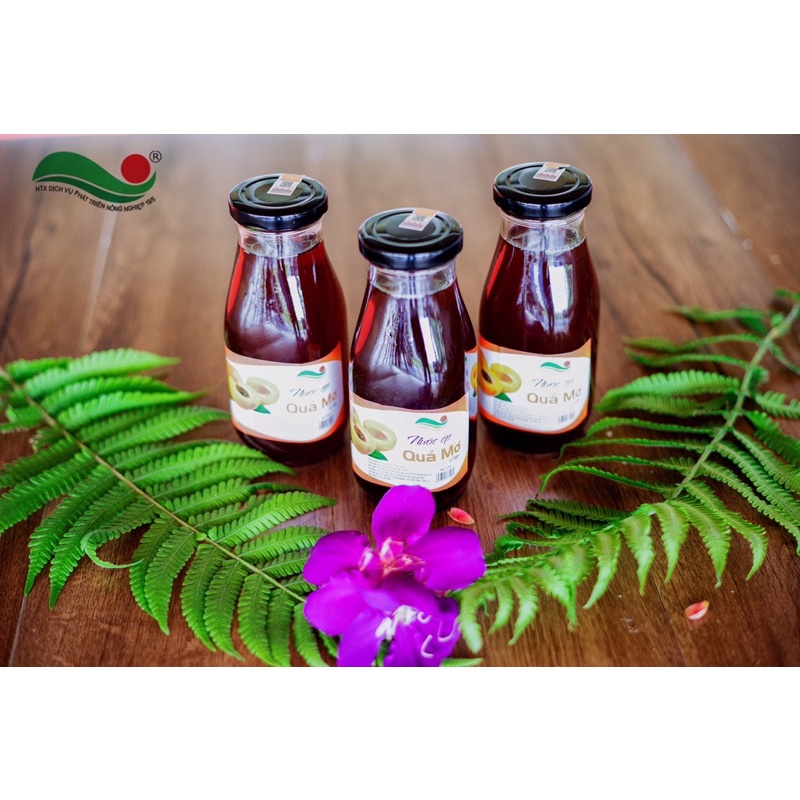 Nước Ép Quả Mơ Nguyên Chất vị Mặn Ngọt chai 300ml