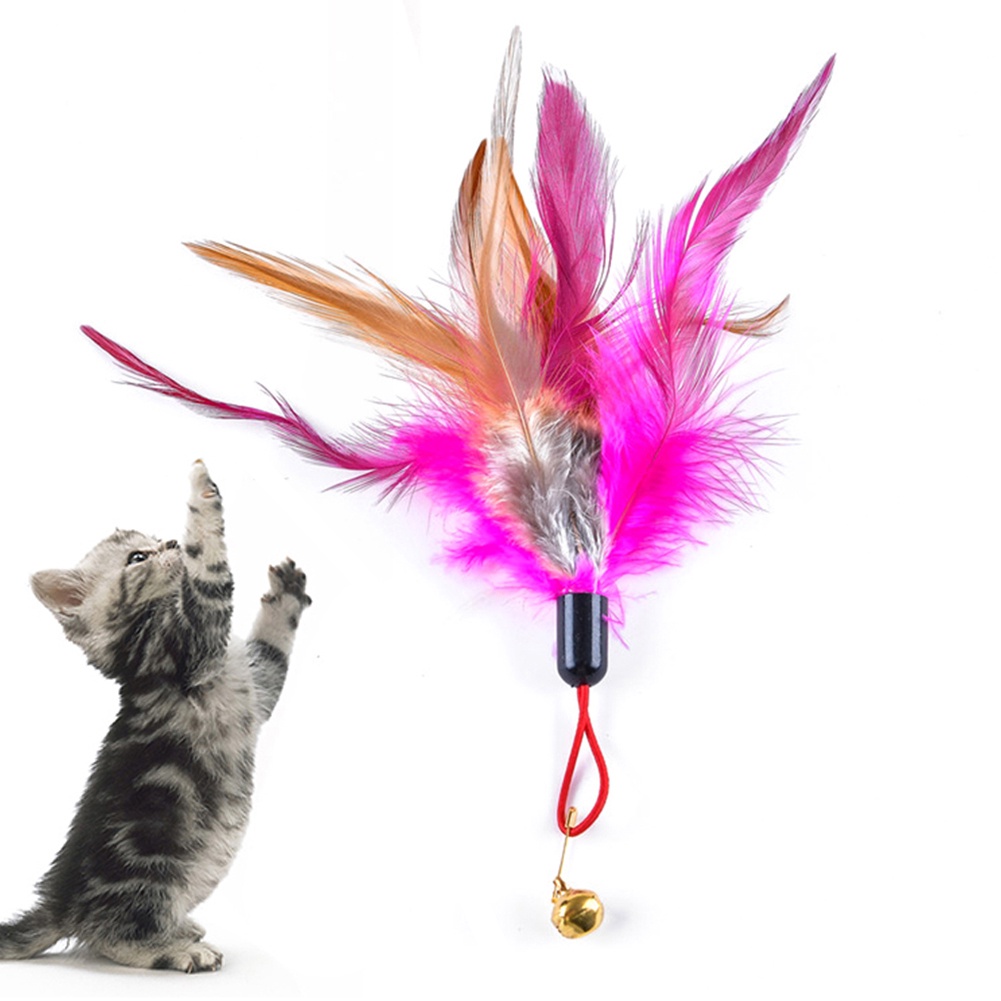 Phụ kiện lông vũ thay thế cho gậy đồ chơi có chuông cho mèo 