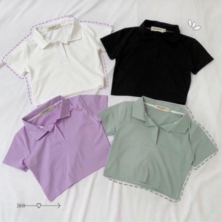 Áo Croptop Tay Ngắn Cổ Bẻ, Chất Thun Co Giãn, Form Basic Trơn Dễ Phối Đồ FD042