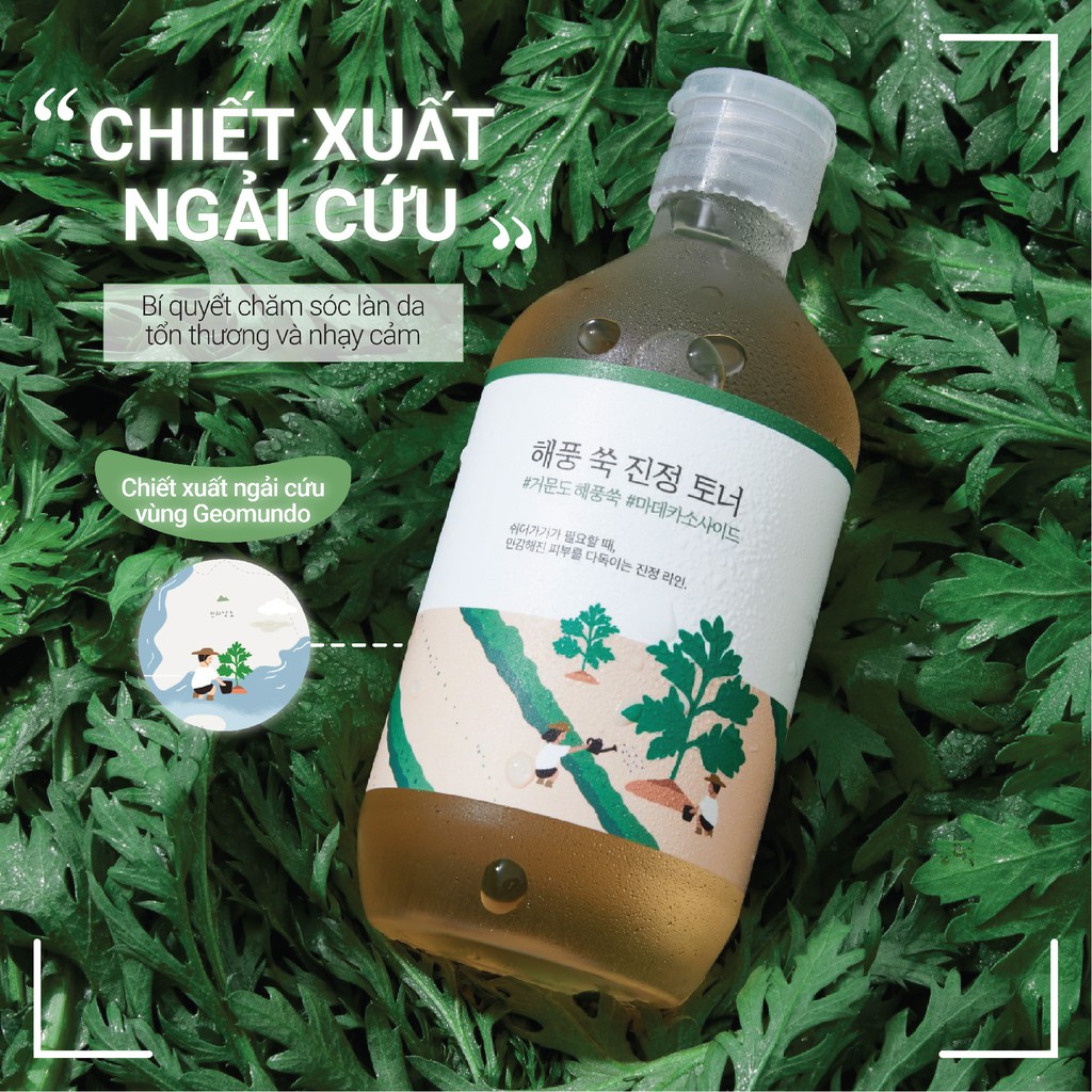 Nước cân bằng làm dịu chiết xuất ngải cứu Round Lab Mugwort Calming Toner 300ml