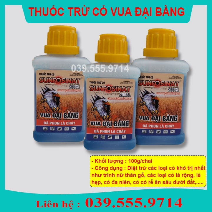 TRỪ CỎ VUA ĐẠI BÀNG - PHUN LÀ CHÁY  DIỆT CỎ KHÔNG CHỌN LỌC