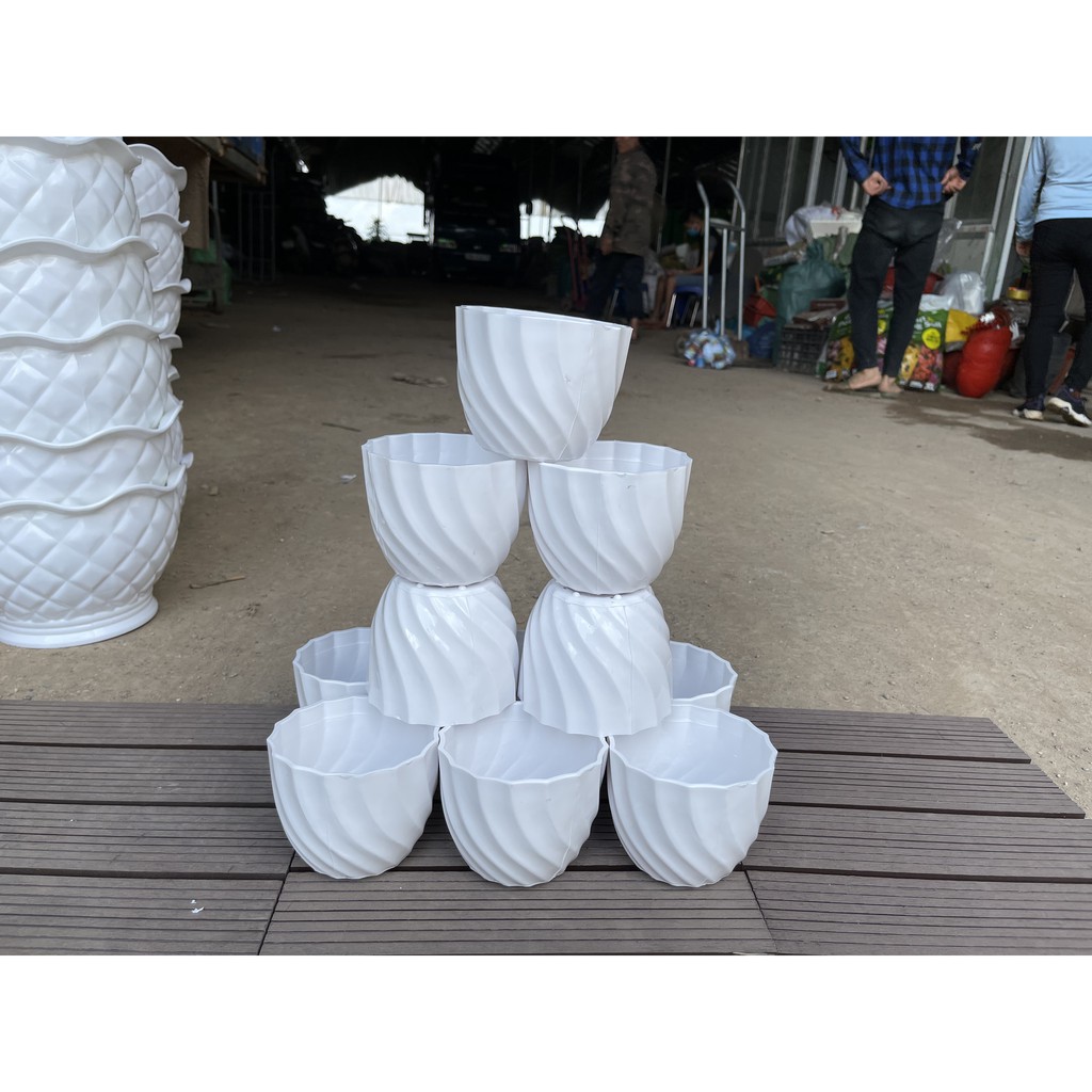 Chậu ốc xoắn dùng để trồng cây.