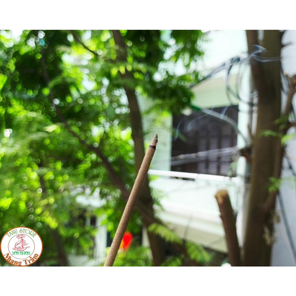 NHANG CÂY TRẦM HƯƠNG TÀI LỘC 30CM 40CM HỘP LỚN 250G VÀ 500G- MÙI THƠM DỊU NGỌT, THOẢNG XA, CHUẨN TRẦM HƯƠNG- TANU STORE