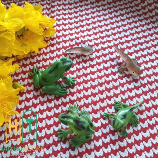 ĐỒ CHƠI MÔ HÌNH VÒNG ĐỜI ẾCH (Kèm hướng dẫn chi tiết)