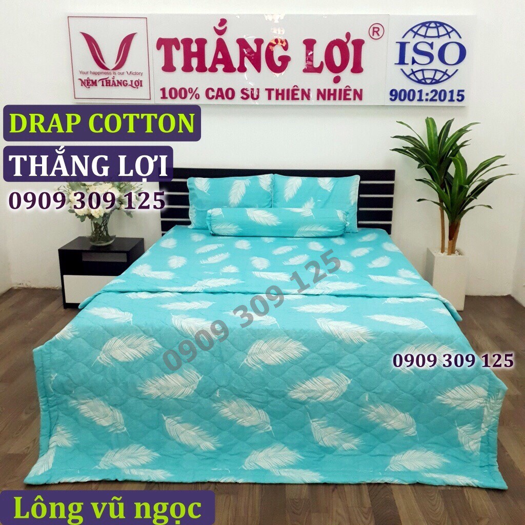 Bộ drap 1m6 + mền Thắng lợi cao cấp (ga giường 5 món) chuẩn logo cotton 100%