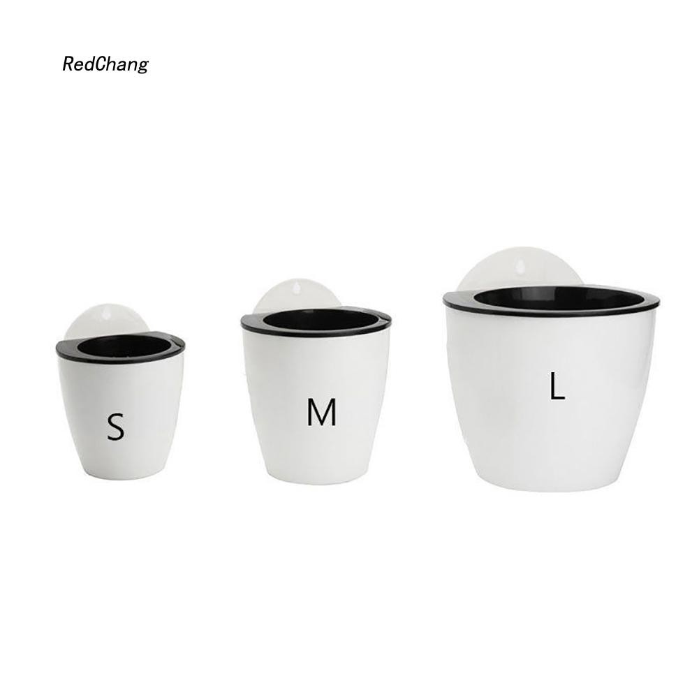 Chậu hoa hút nước treo tường sáng tạo