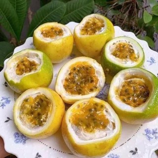 Cây giống chanh leo và ngọt