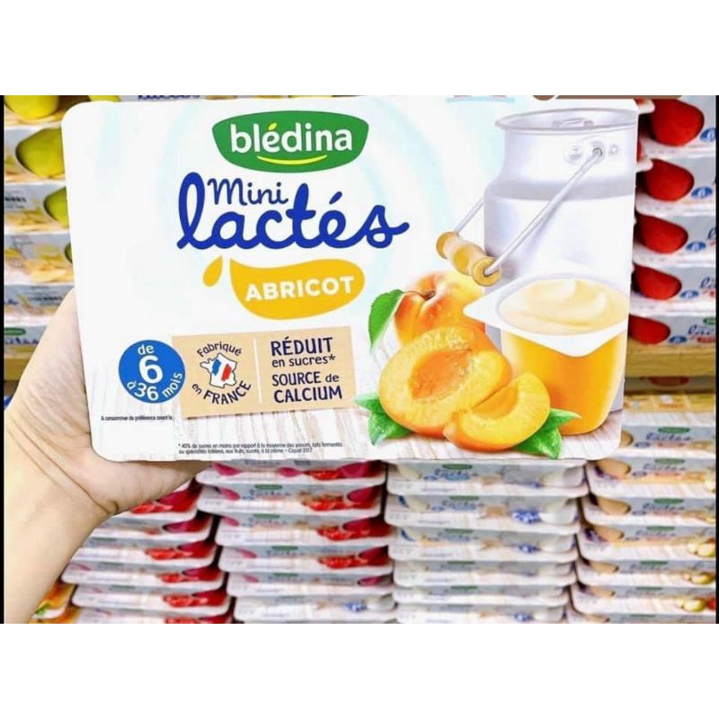 SỮA CHUA BLEDINA ĐỦ VỊ PHÁP