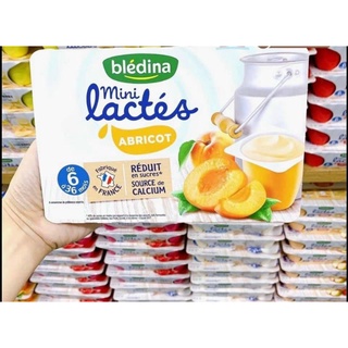 SỮA CHUA BLEDINA ĐỦ VỊ PHÁP