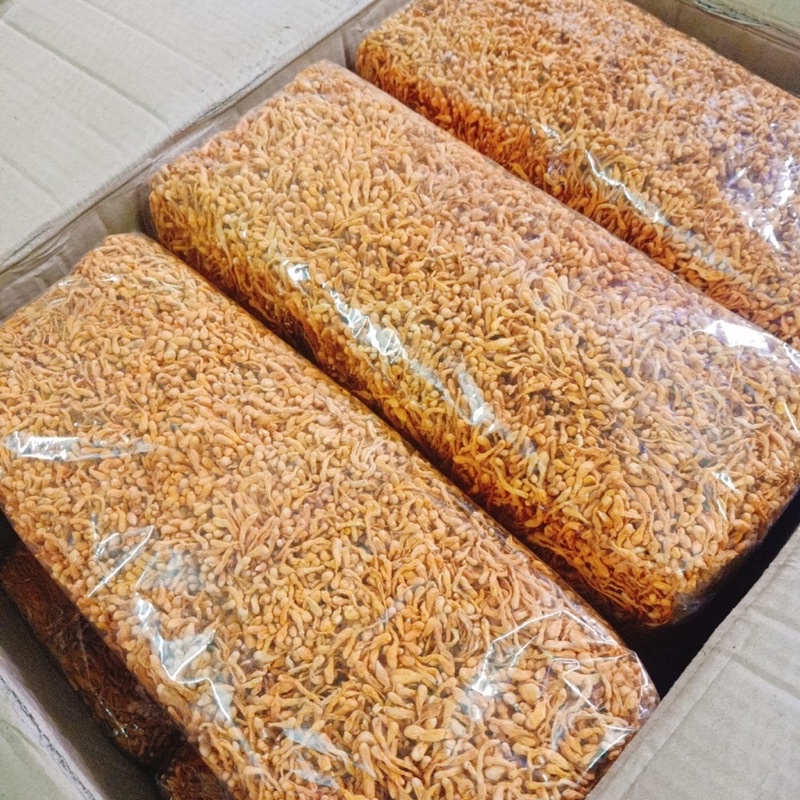 Đông trùng Hạ thảo khô 500gr nguyên chất