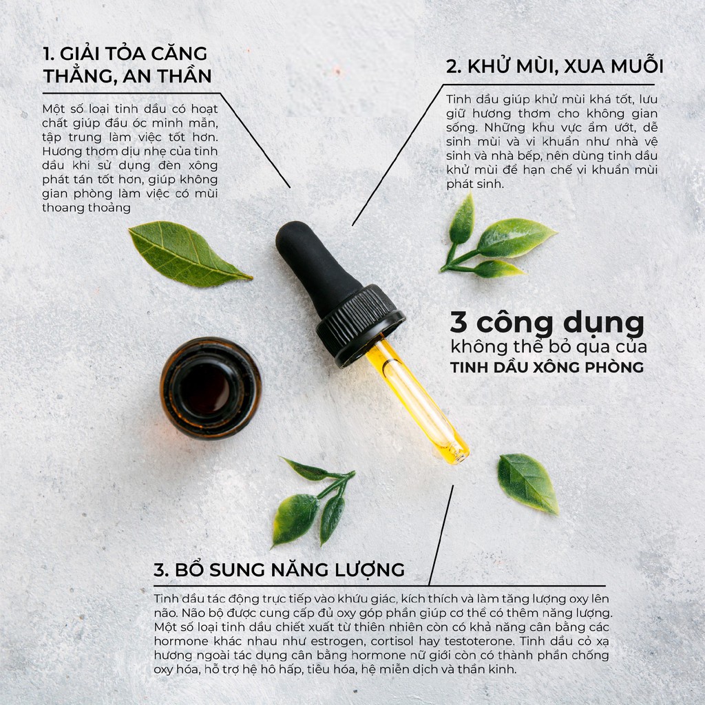 Tinh dầu sả chanh nguyên chất, tinh dầu thơm bán buôn bán lẻ bán sỉ số lượng lớn, chai 10ml