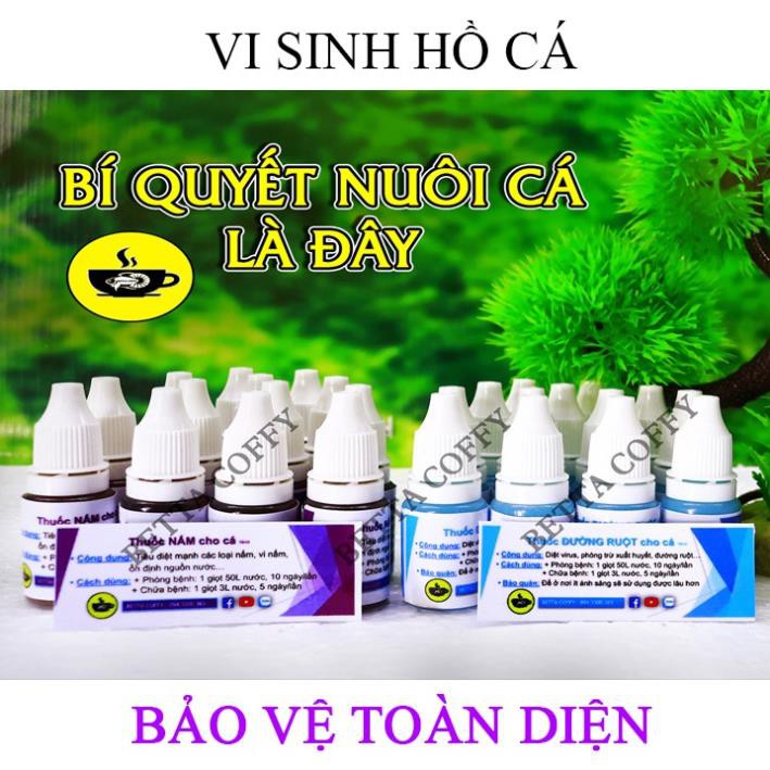 Nước Cốt Lá Bàng bổ sung VITAMIN - Giúp Cá Sung + Khỏe Mạnh