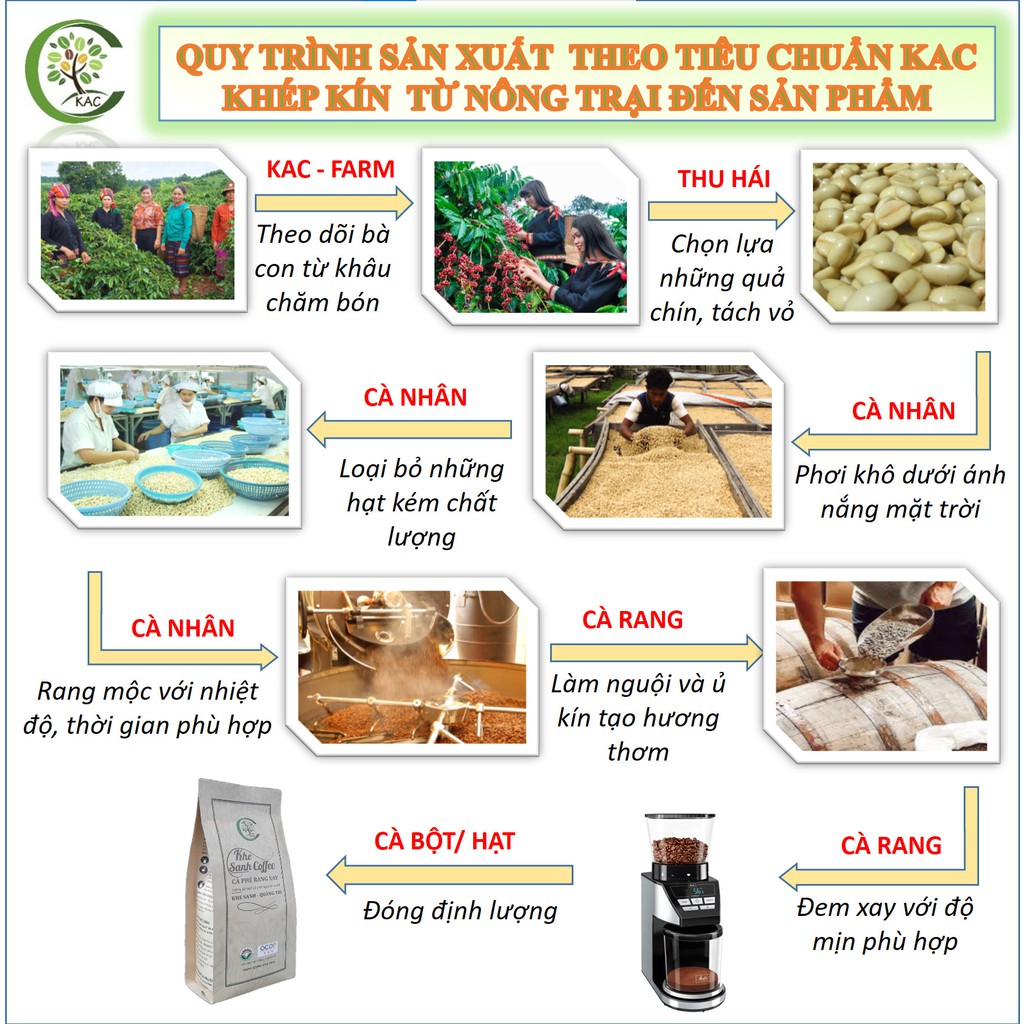 Arabica Khe Sanh - Cà phê sạch 100%