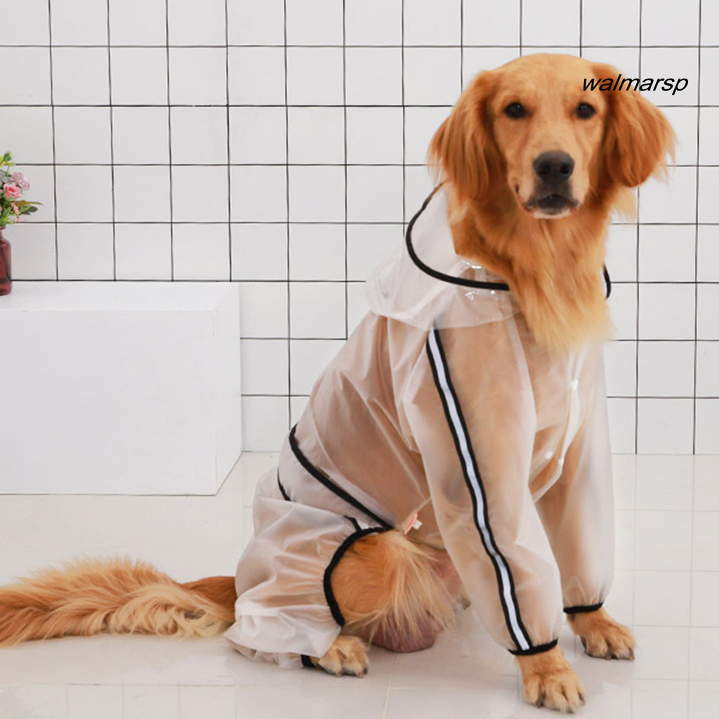 Áo mưa trong suốt thiết kế sáng tạo cho thú cưng