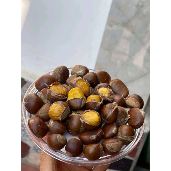 HẠT DẺ T.Ư.Ơ.I