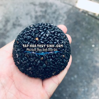 GIÁ THỂ TRÒN TRÔNG RÁY , BUCEP SIÊU ĐẸP