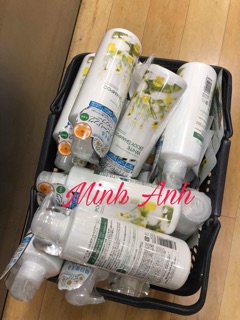 sữa tắm manis của nhật bản