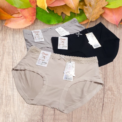 Quần lót cottong nữ đẹp kháng khuẩn cao cấp QLN024 hàng có sẵn tại CHIPNOIY SHOP