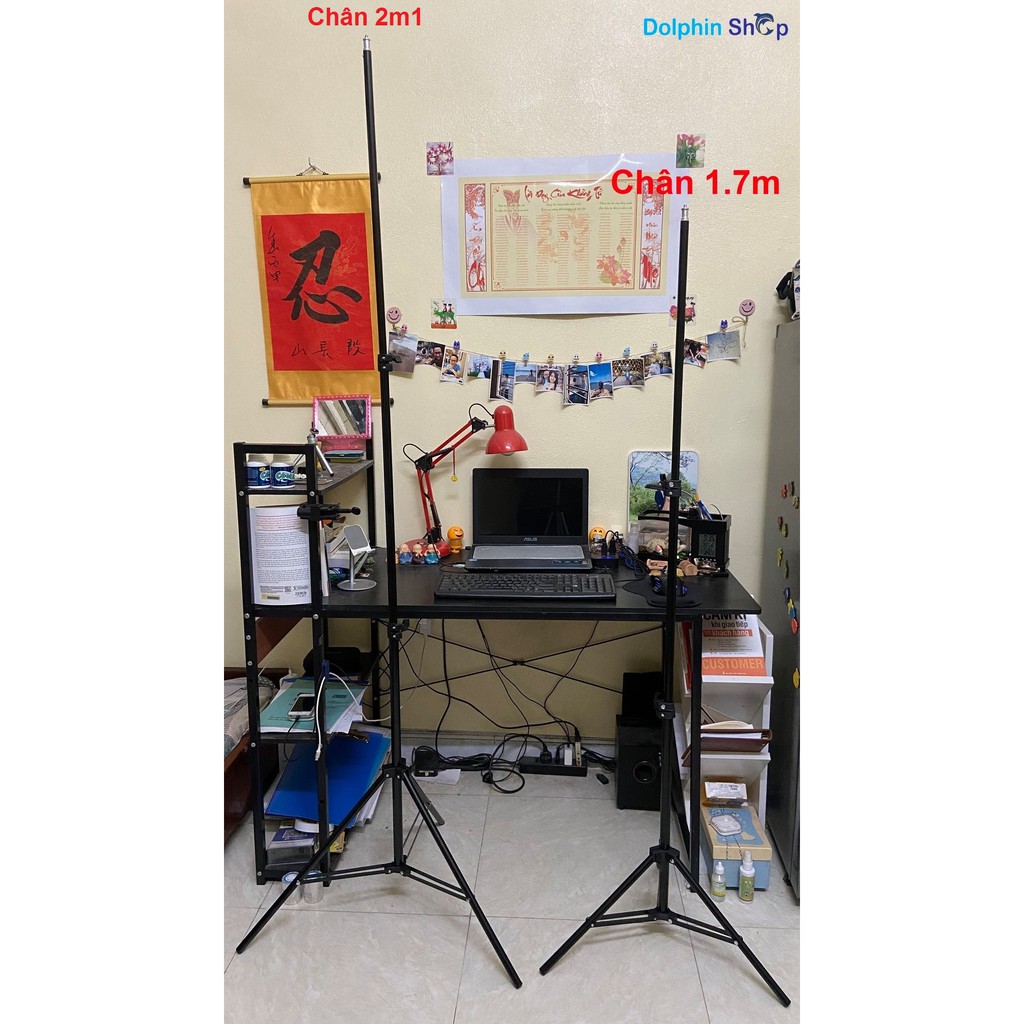 [Có Clip Size 20cm] Đèn Livestream Size 20cm Dành Cho Bán Hàng Online, Quần Áo, Makeup - Cây  live stream size 20 | BigBuy360 - bigbuy360.vn