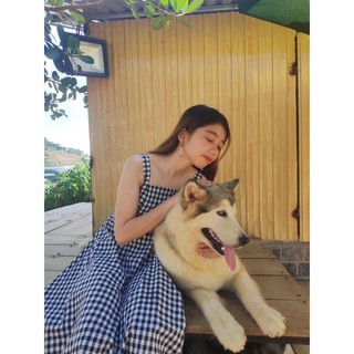 Áo váy sơ mi đôi, đồ đôi (kèm feedback khách)