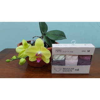 Set 7 Quần chip Gu hàng nội địa Nhật