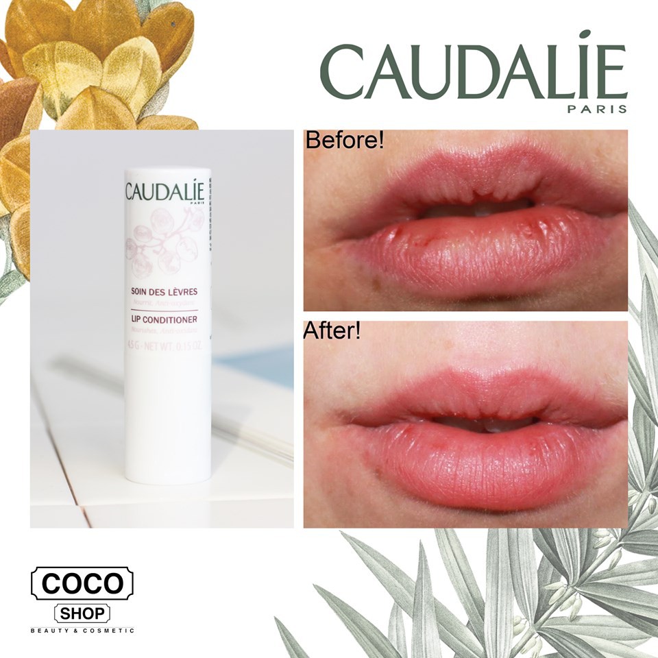 Son dưỡng môi Caudalie Lip Conditioner Nourishes & Anti- Oxydant - Pháp