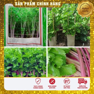 Hạt Giống Cần Tây Đỏ Hà Lan(2gr)