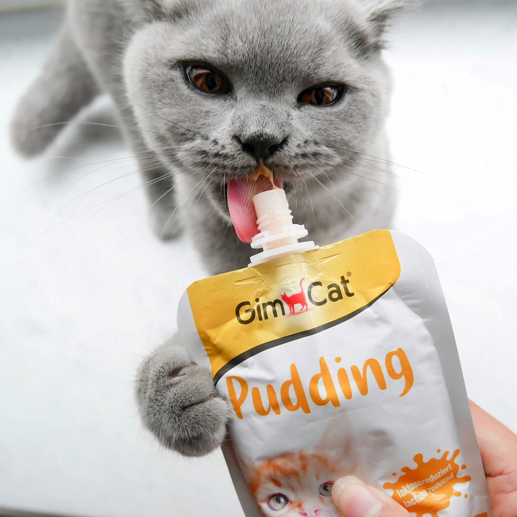 Gel dinh dưỡng từ sữa cho mèo GIMCAT Yoghurt 150g / Pudding 150g / Latte 200ml