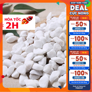 Sỏi trắng, đá trắng 1.2KG cao cấp, trang trí chậu cây, hồ cá, bể cá, tiểu cảnh, hòn non bộ thủy sinh, cây cảnh.