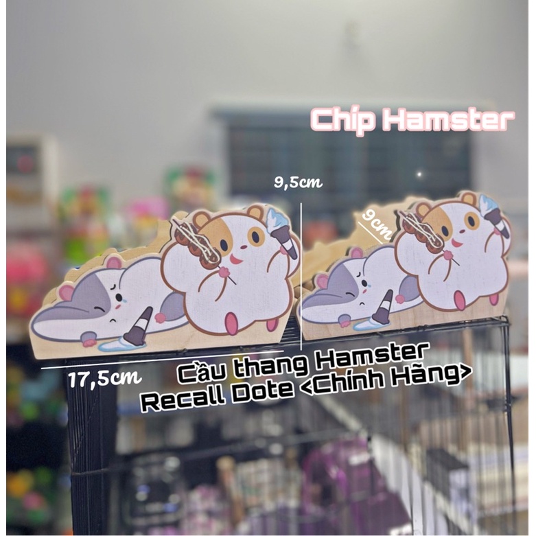 Cầu thang trang trí Recall Dote