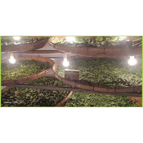 Dầu Gội Thảo Dược Comeon Hết Gàu - Giảm Rụng Tóc - Kích Thích Mọc Tóc - Chuẩn 100% | BigBuy360 - bigbuy360.vn