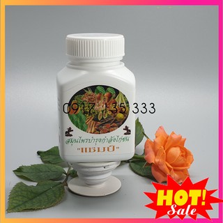 Thuốc Nuôi, Bổ Sung Vitamin Rau Củ Quả Cho Gà Đá, Hộp 100 Viên