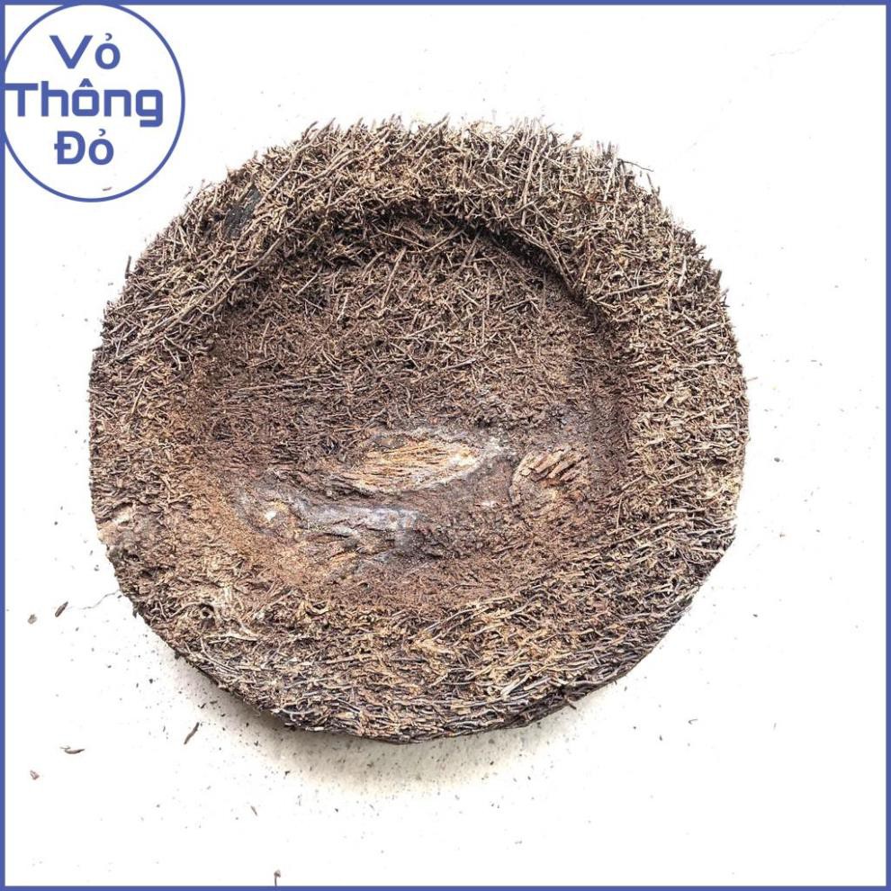 Rớn bảng tròn trồng lan 23cm