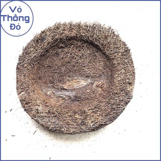 Rớn bảng tròn trồng lan 23cm