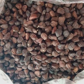 100g - 200g - 300g hạt dổi rừng đây ạ