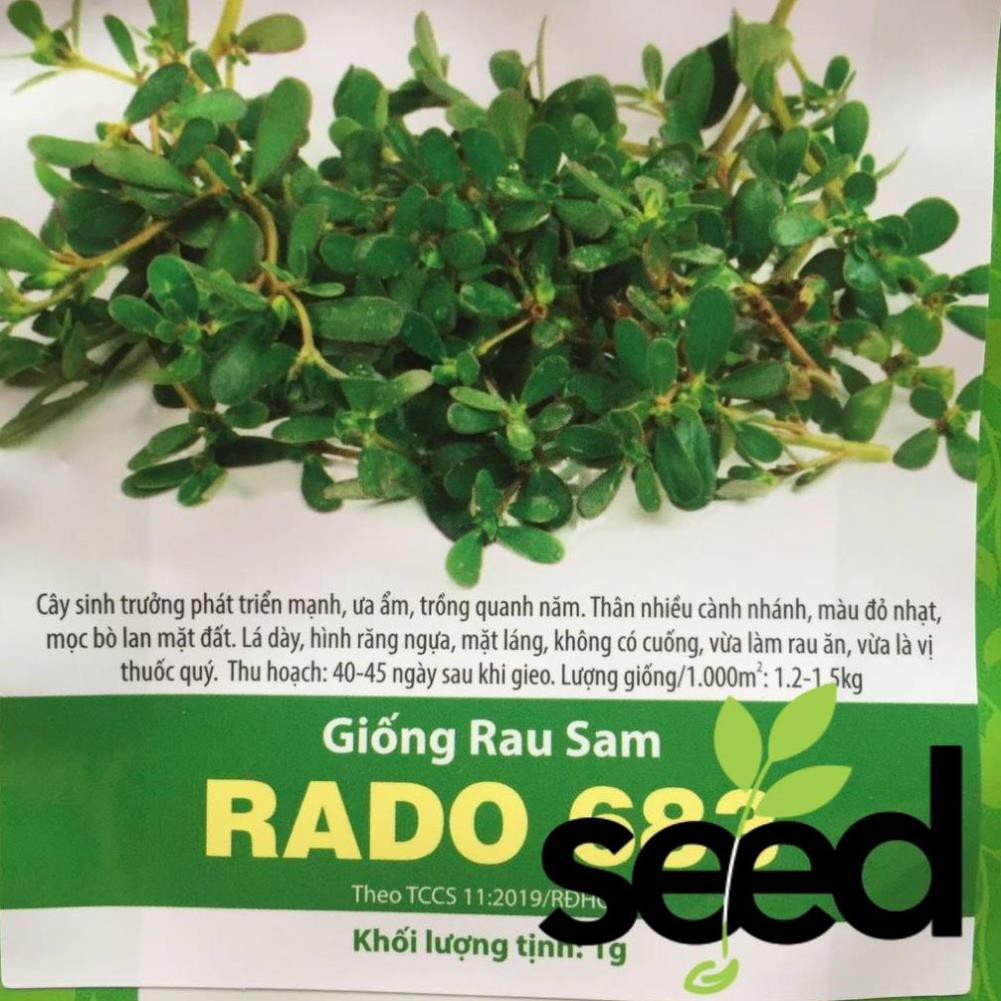 [Miễn Phí Ship] Hạt Giống Rau Sam 1 Gram