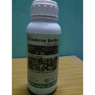 Nấm đối kháng Trichoderma