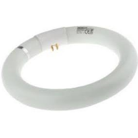 Bóng vòng T8 PHILIPS TL-E 22w/54-765 ,ánh sáng trắng