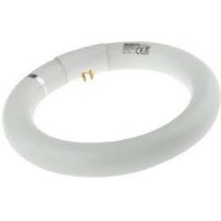 Bóng vòng T8 PHILIPS TL-E 22w/54-765 ,ánh sáng trắng