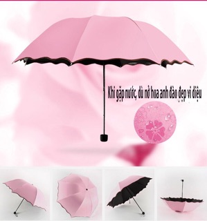 ô ma thuật biến đổi khi gặp nước