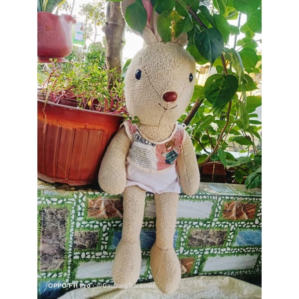 Gấu bông thỏ quý tộc size 60cm