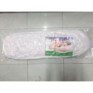 Xã Hàng Combo ruột gối ôm hơi loại lớn và áo thun lạnh đi kèm 35x100 siêu rẻ 0932171163