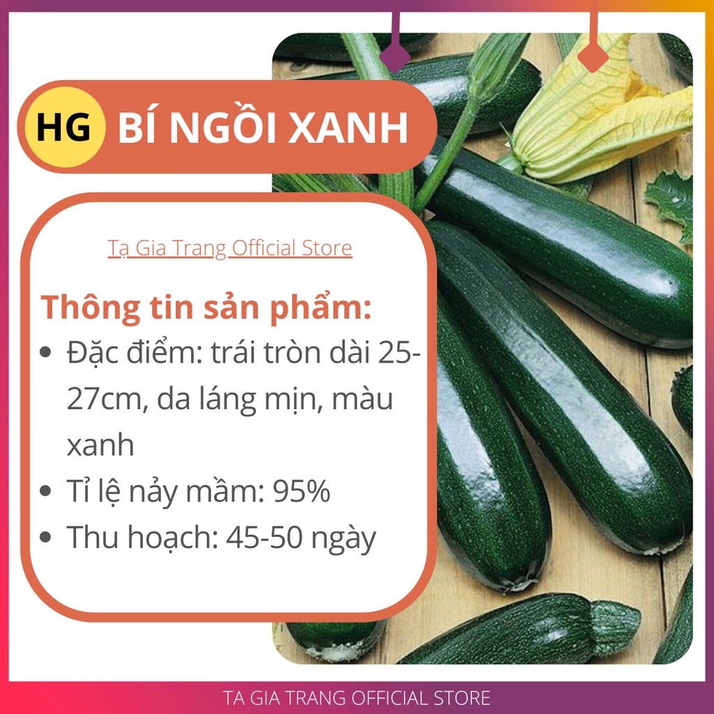 GÍA 1K - Hạt giống bí ngồi xanh cao sản F1 - Tập sự làm vườn cùng Tạ Gia Trang