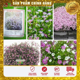 Hạt Giống Hoa Baby mix 50 hạt