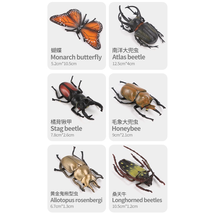 Đồ chơi mô hình côn trùng bò sát cho trẻ nhỏ