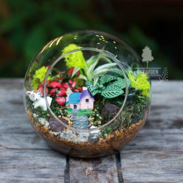 Terrarium - Thế giới muôn loài 3