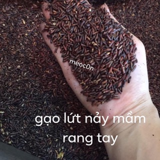 Gạo lứt nảy mầm