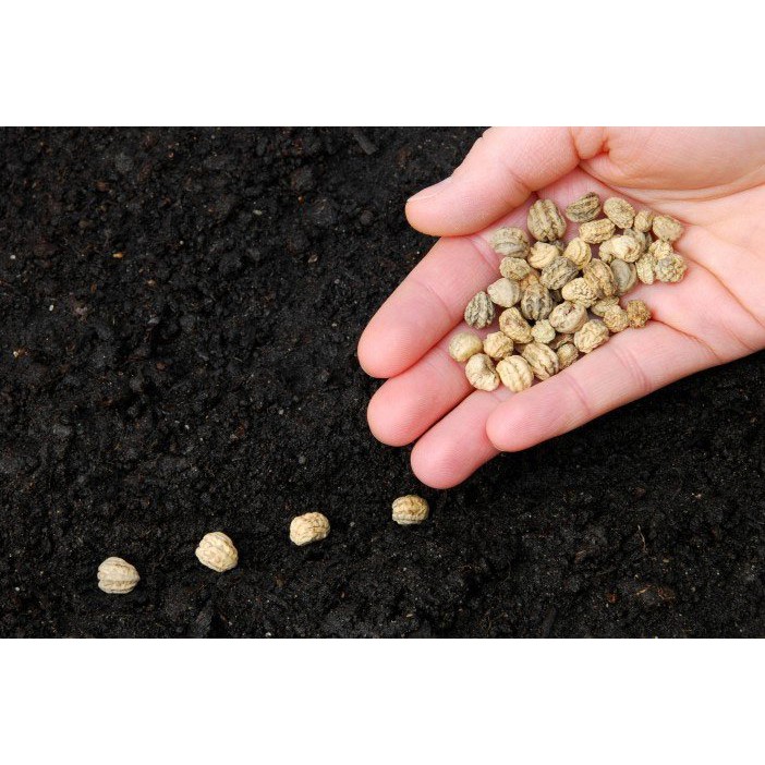 Đất ươm hạt Eco (20dm3 ~ 6kg)