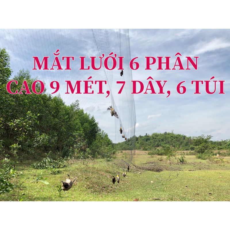 Lưới tàn hình 30m lưới 6p  bẫy cu, sáo vẹt ,cò quốc, két, tổng hợp chim ngày chim đêm,