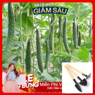 Hạt Giống Dưa Chuột Nhật F1 - 10 hạt / Gói ( Hàng Loại 1 ) - Tặng Kèm Bộ Dụng Cụ Trồng Cây Mini